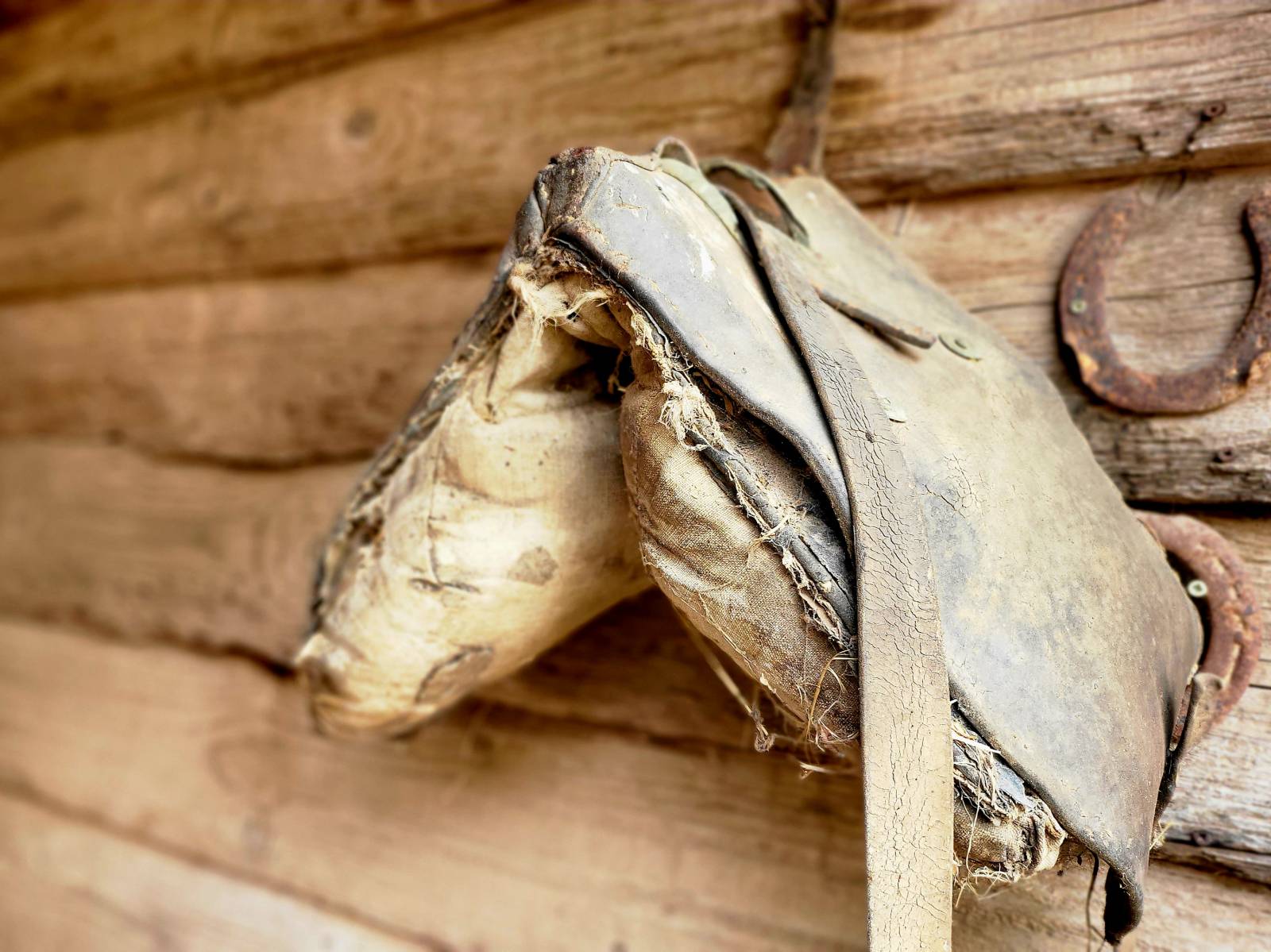 exonération propriété rurale donation succession notaire le pradet 