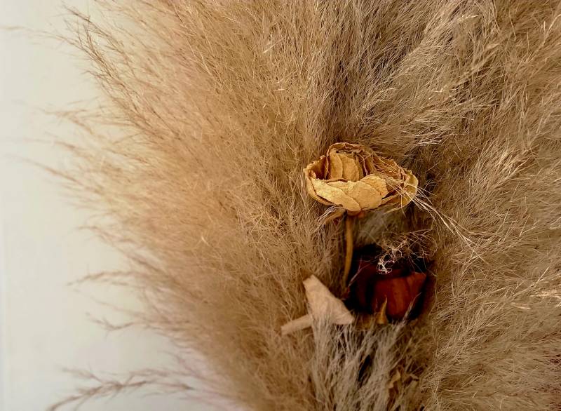 contrat de mariage notaire le pradet Carqueiranne