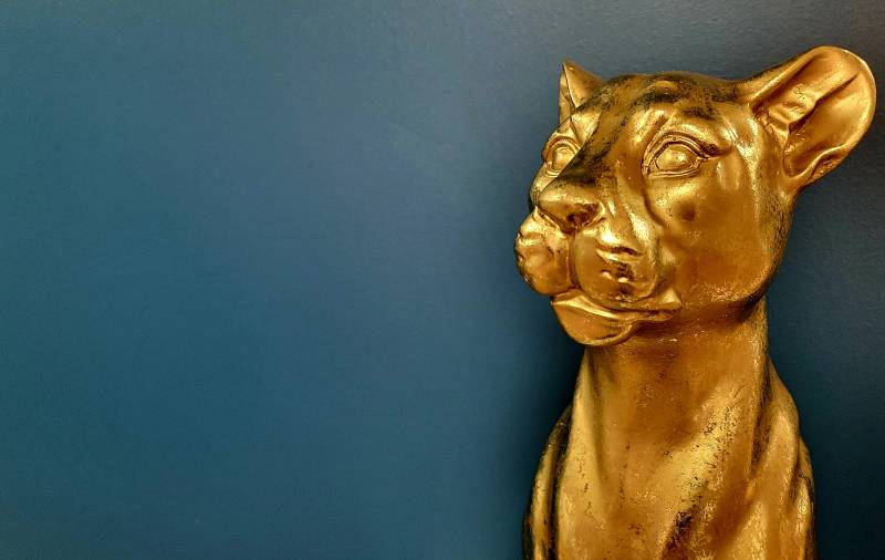 Adoption simple par une personne d'un majeur - Consentement par acte notarié obligatoire