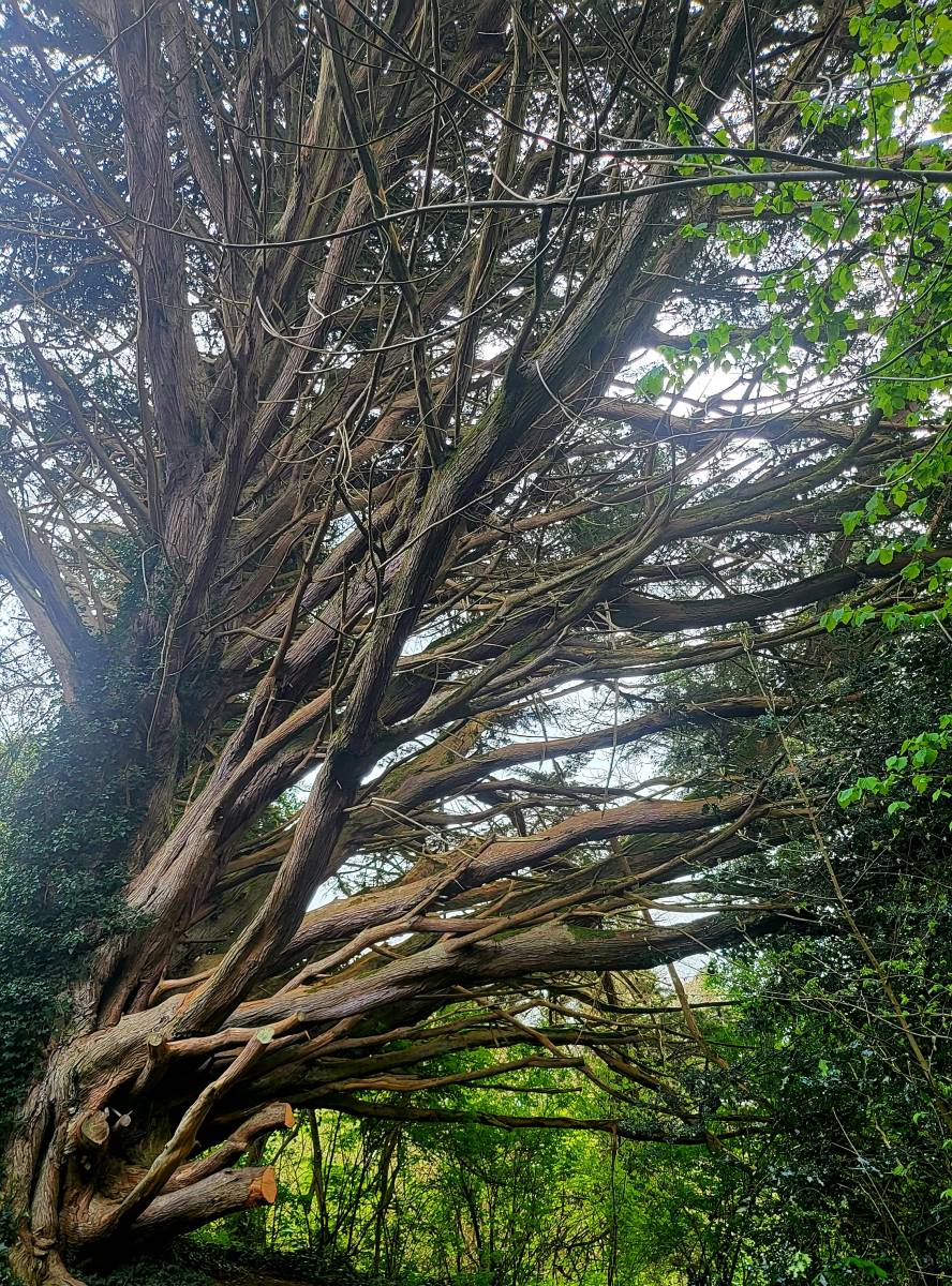 Evaluation des parcelles agricoles - Difficultés notaire saba giraudo